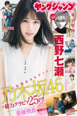 宁安如梦1-36集